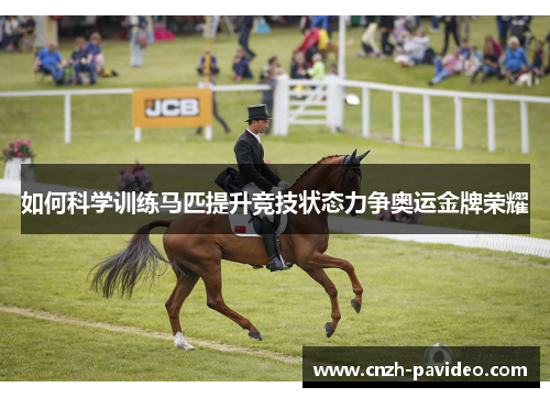 如何科学训练马匹提升竞技状态力争奥运金牌荣耀