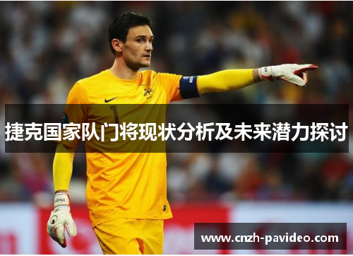 捷克国家队门将现状分析及未来潜力探讨