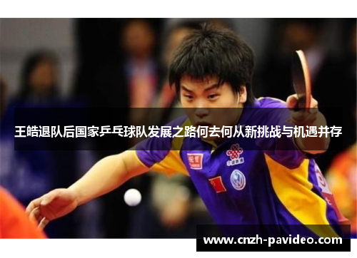 王皓退队后国家乒乓球队发展之路何去何从新挑战与机遇并存