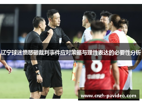 辽宁球迷愤怒砸裁判事件应对策略与理性表达的必要性分析