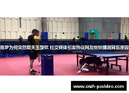 陈梦为何突然取关王楚钦 社交媒体引发热议网友纷纷猜测背后原因