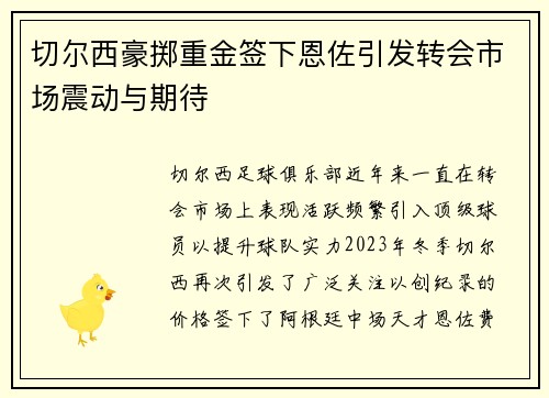 切尔西豪掷重金签下恩佐引发转会市场震动与期待 切尔西豪掷重金签下恩佐引发转会市场震动与期待